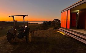 The Orange House